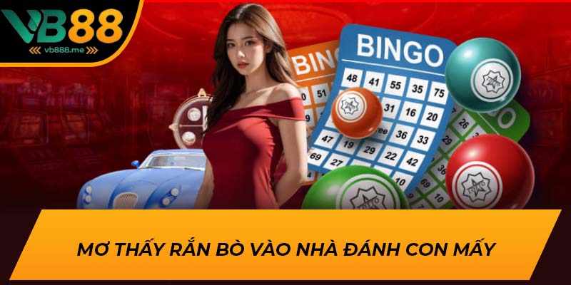 Mơ thấy rắn bò vào nhà đánh con mấy